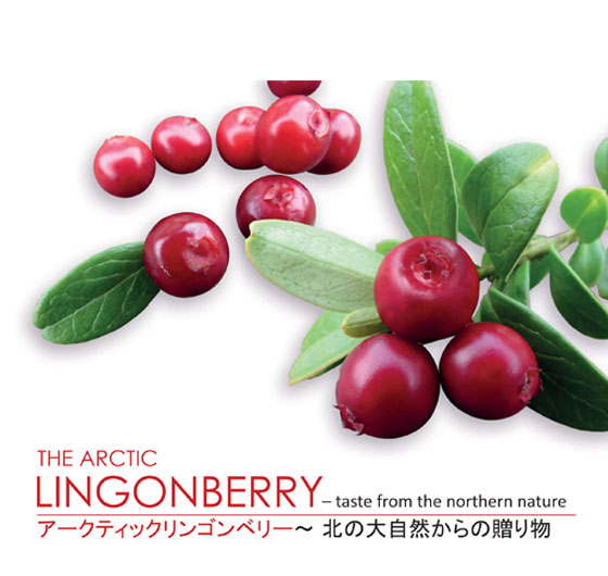 lingonberry_esite_en_ja.jpg