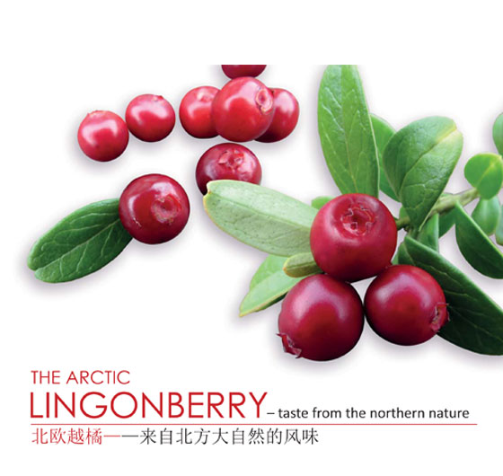 lingonberry_esite_en_zh.jpg
