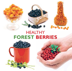 healthy_forest_berries2018.jpg